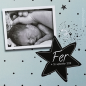 MR_Fer1-3.png
