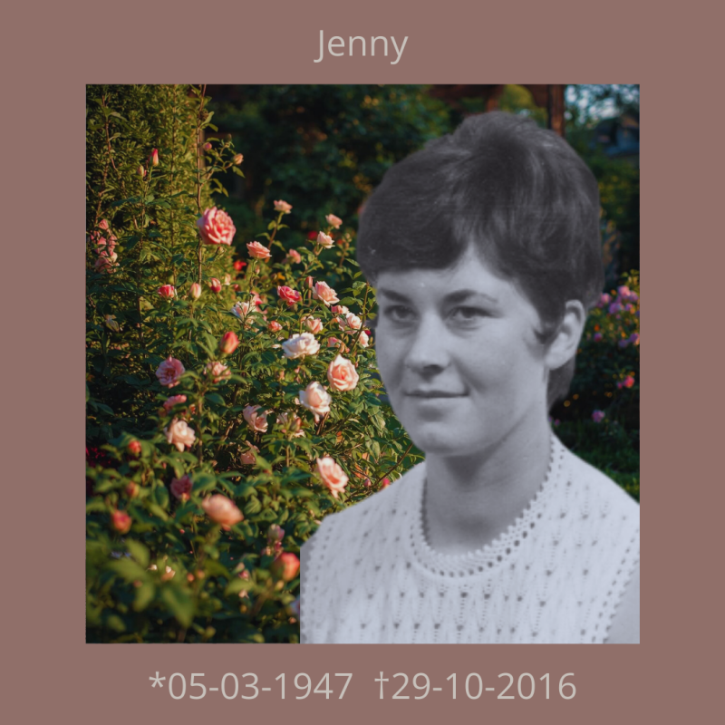 jenny-standard.png