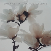 MR_Eke1-3.png