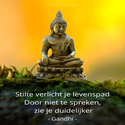 mr_stilteverlichtjelevenspad.png