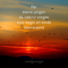 mr_elfje1.png