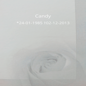 MR_Candy1.png
