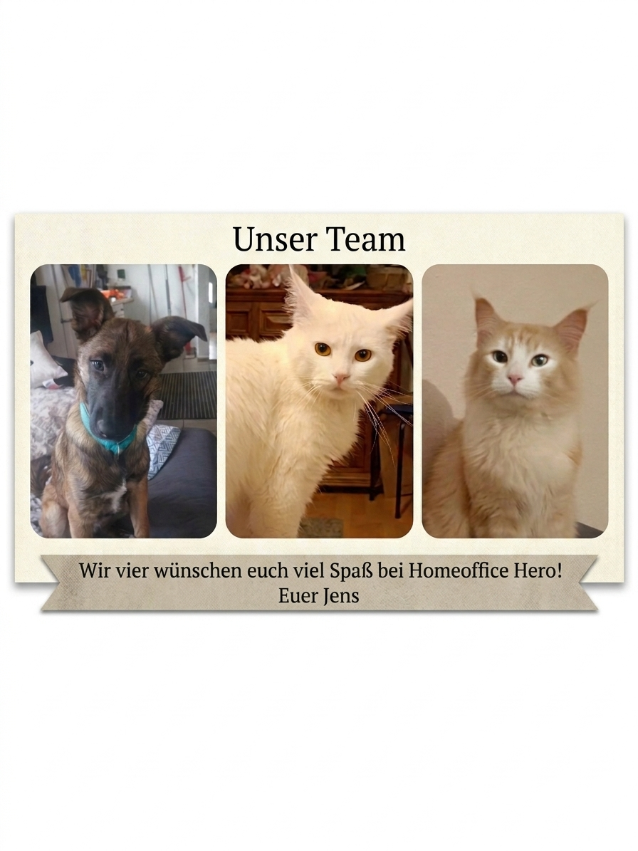 Foto-Collage des Homeoffice-Teams bestehend aus Hund Floki und den zwei Hauskatzen.