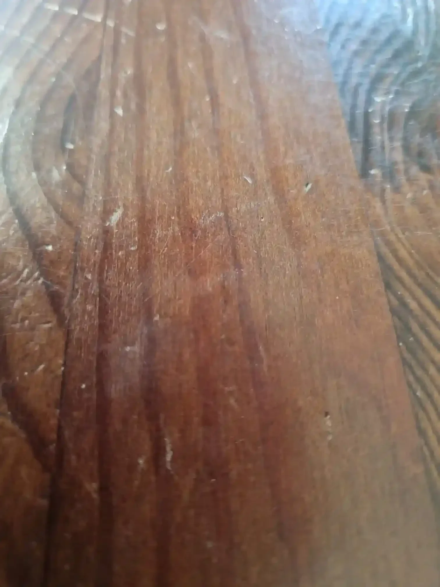 Kratzer und Abnutzung auf einem unbehandelten Nussbaum-Schreibtisch. Ein Praxisbeispiel für fehlende Holzpflege im Homeoffice.