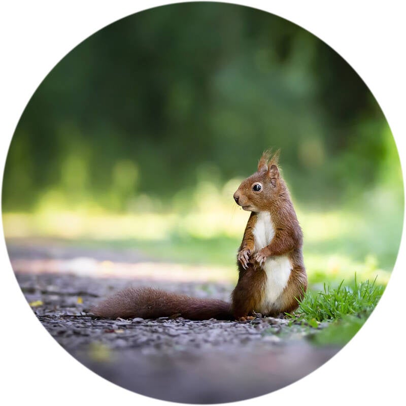 Wut Wechseljarhe, Selbstzweifel, Coach für Frauen, Engelberg, Wendepunkt, Veränderung, Lebensmitte, Wechseljahre, Mutterschaft, Sinnkrise, Sinn des Lebens, Mentalcoach Engelberg, Coach Zentralschweiz