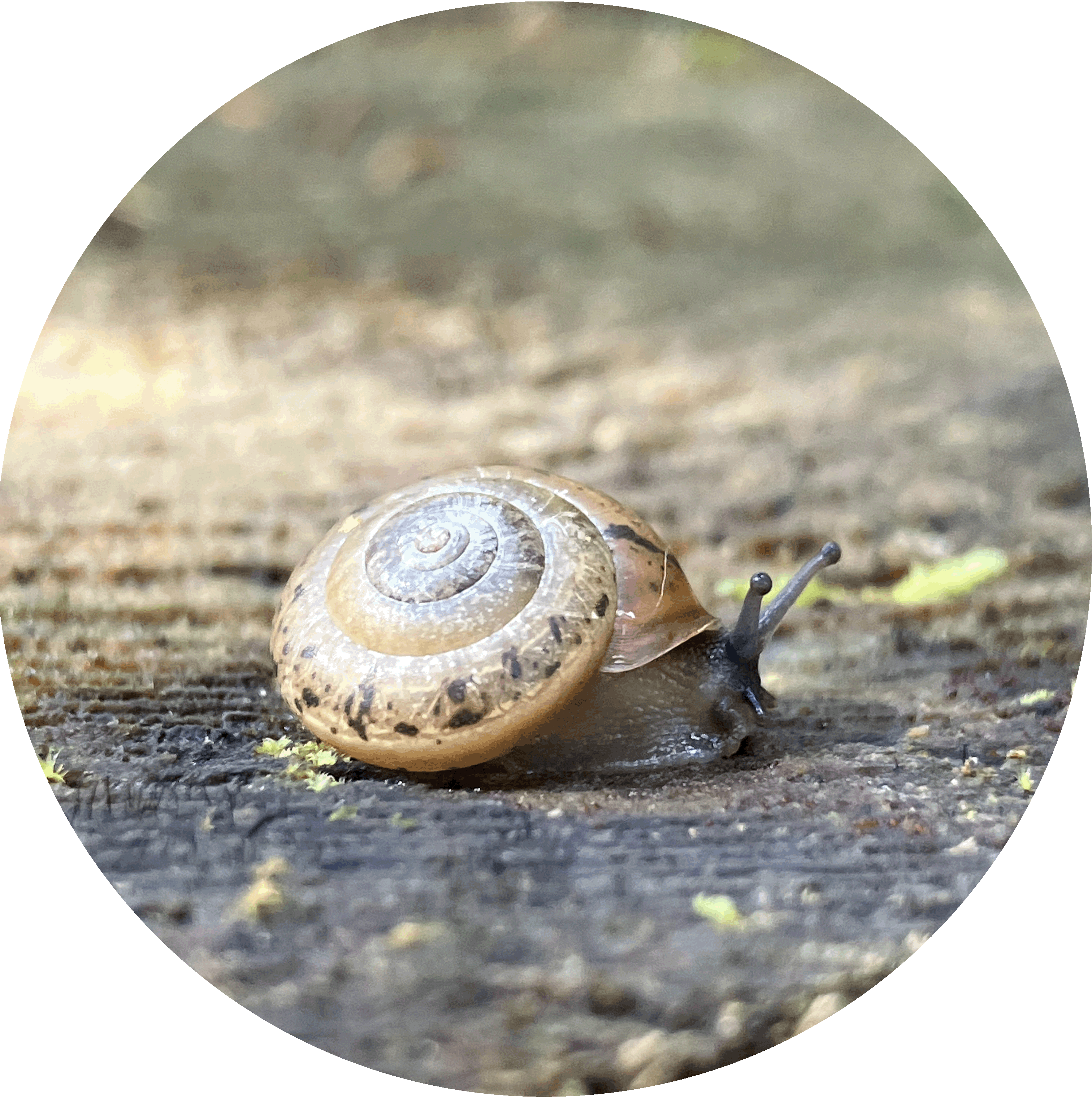 Achtsamkeit, Achtsamkeits-Tag, Retreat, Mini-Retreat, Auszeit, Mamaalltag, Wechseljahre, Wendepunkt, Engelberg, Luzern, Zentralschweiz, Ferien