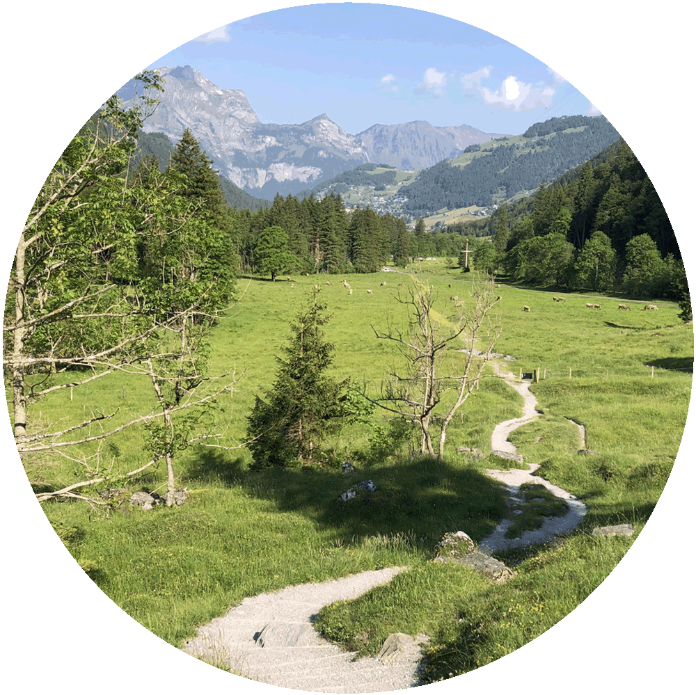 Wut Wechseljarhe, Selbstzweifel, Coach für Frauen, Engelberg, Wendepunkt, Veränderung, Lebensmitte, Wechseljahre, Mutterschaft, Sinnkrise, Sinn des Lebens, Mentalcoach Engelberg, Coach Zentralschweiz