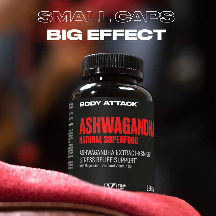 BODY ATTACK ASHWAGANDHA KAPSELN (120 Caps) 600 mg Ashwagandha pro Tagesportion Kapseln mit Markenrohstoff Ashwagandha KSM-66 Supportet den Muskelaufbau durch Stressabbau* Das ultimative Superfood für deine beste Performance hat einen Namen: ASHWAGANDHA Ka