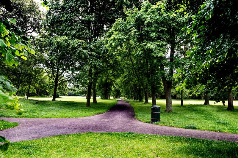 landscapes-birkenhead-park-04-2026-5-standard-ruo60s.jpg