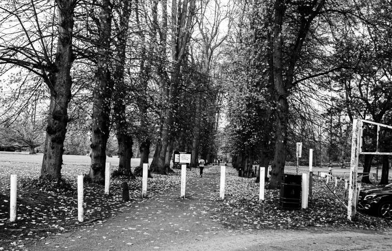 out-and-about-beddington-park-wallington-london-u-k-00_00_0000-1-copy-standard-x6hdoq.jpg