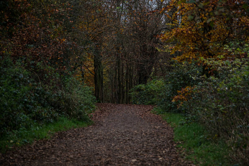 path-to-who-knows-where-london-2025-standard-blxii1.jpg