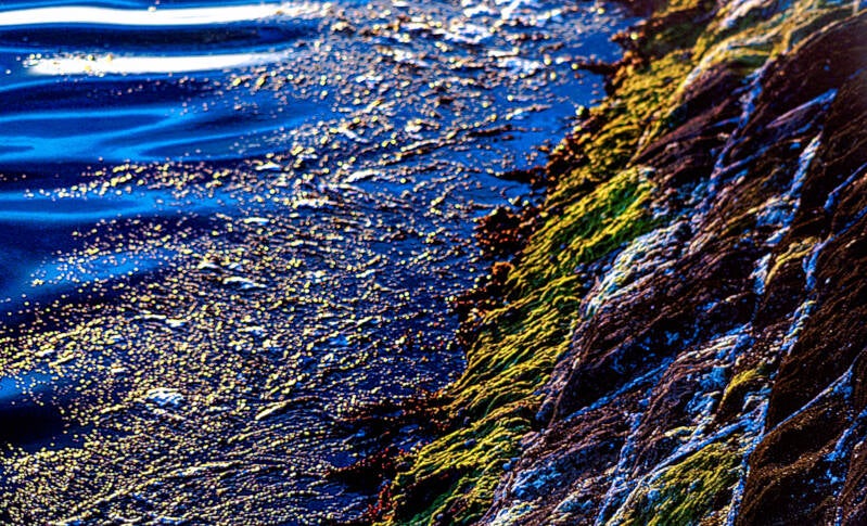 untitled-11-standard-wt0y5y.jpg