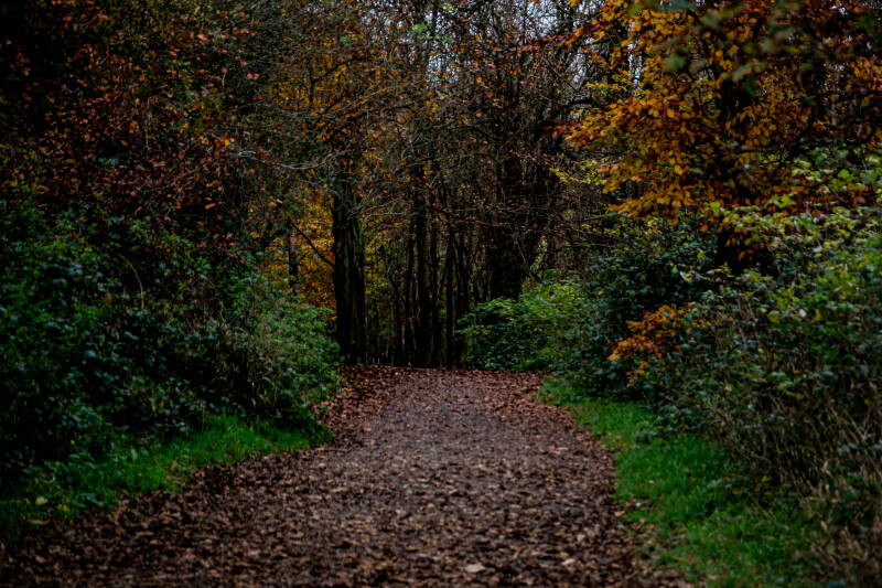 untitled-15-standard-4f5t4m.jpg