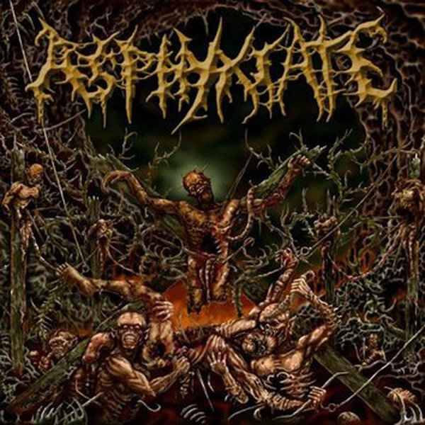 ASPYXIATE - Anatomy Of Perfect Bestiality CD