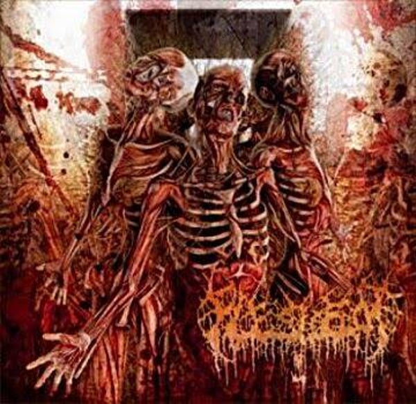 FLESHROT - Traumatic Reconfiguration CD