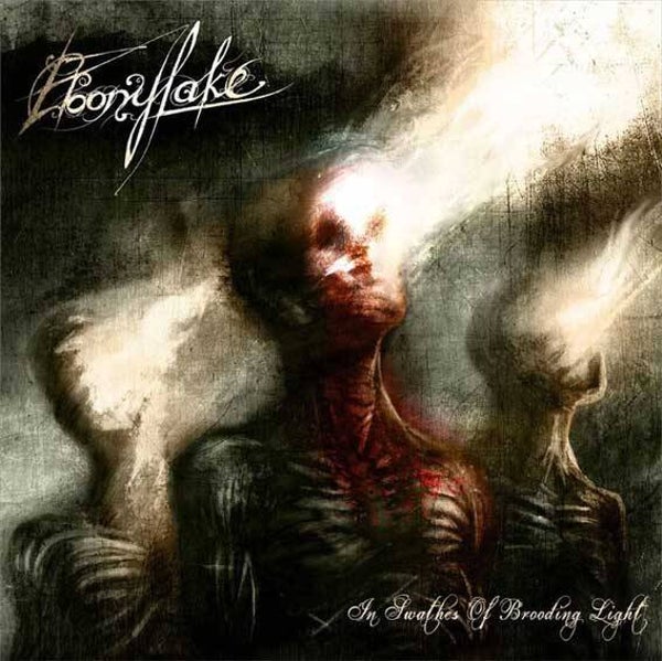 EBONYLAKE -  In Swathes of Brooding Light CD