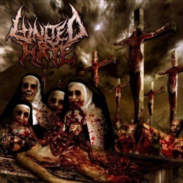 UNITED BY HATE - Indulgence In Sacrifege CD