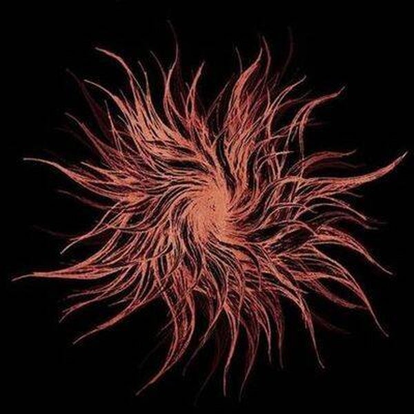 GALAKTIK CANCER SQUAD - Ghost Light CD
