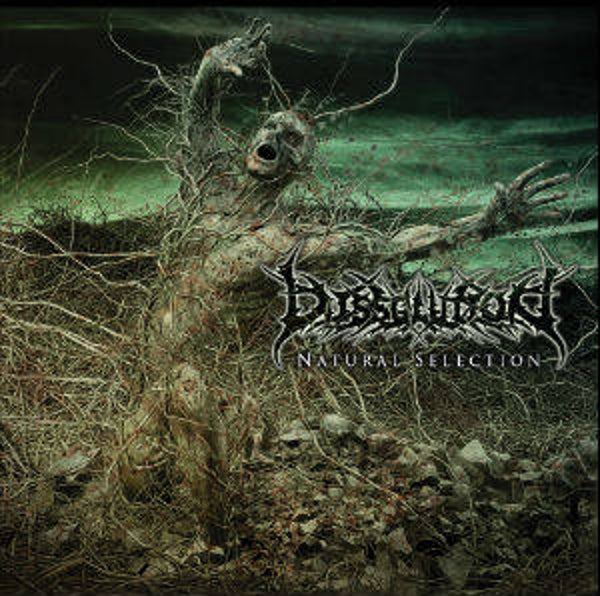 DISSOLUTION - Natural Selection CD