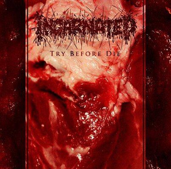 INCARNATED - Try Before Die CD