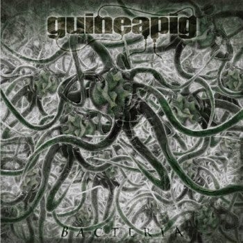 GUINEAPIG - Bacteria CD