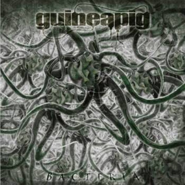 GUINEAPIG - Bacteria CD