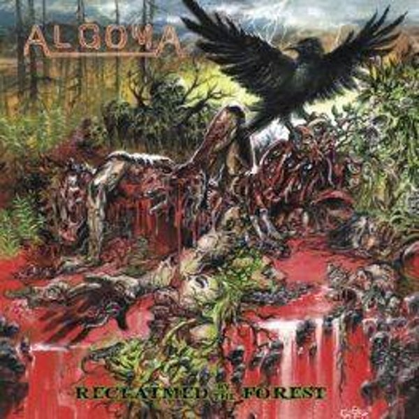 ALGOMA - Reclaimed by the Forest CD