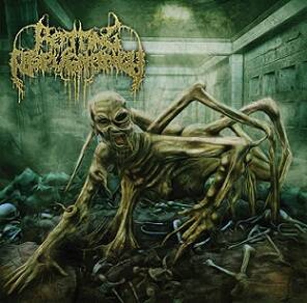 ROTTING REPUGNANCY - Path Of The Diminished CD