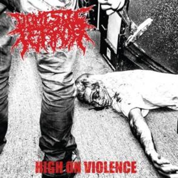 DOMESTIC TERROR - High On Violence CD