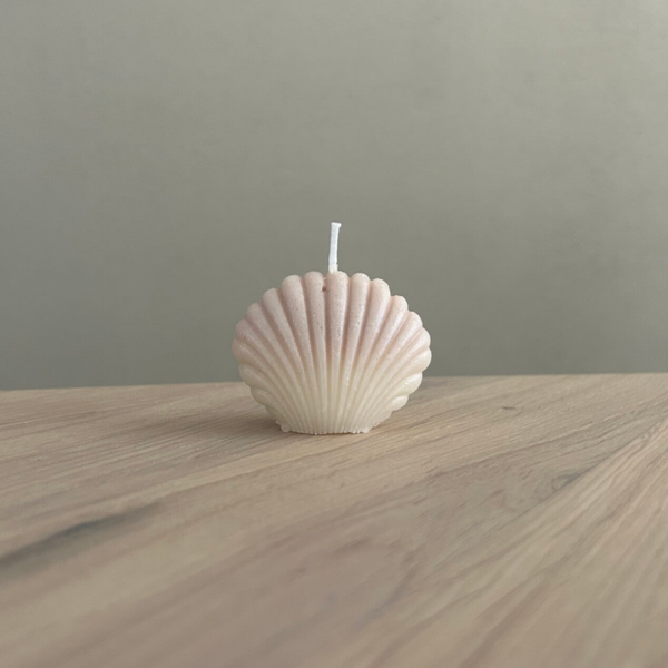 Kaars Shell 2 colors