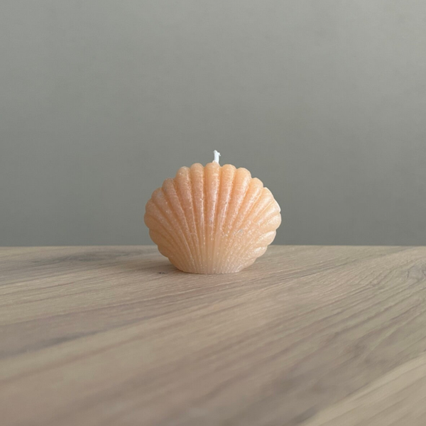 Kaars Shell licht oranje