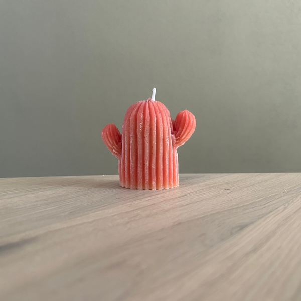 Kaars Cactus mix oranje/roze