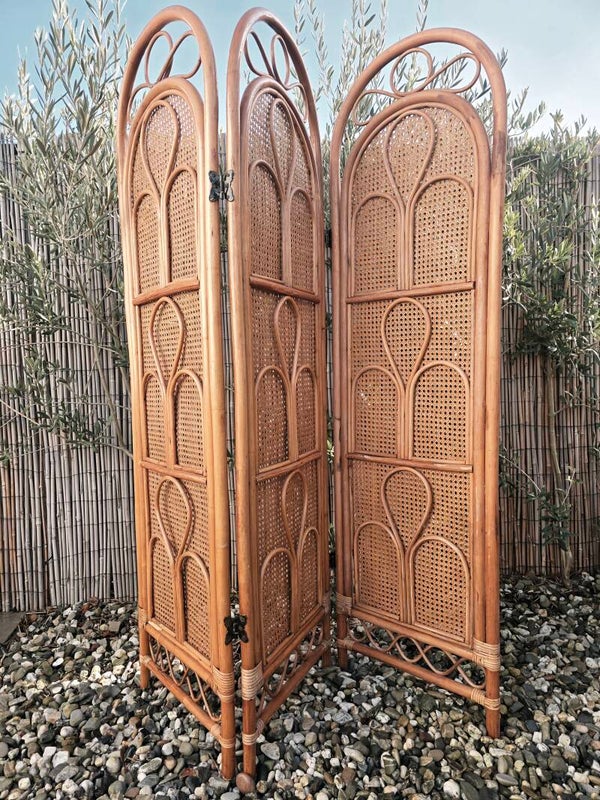 Rotan Kamerscherm