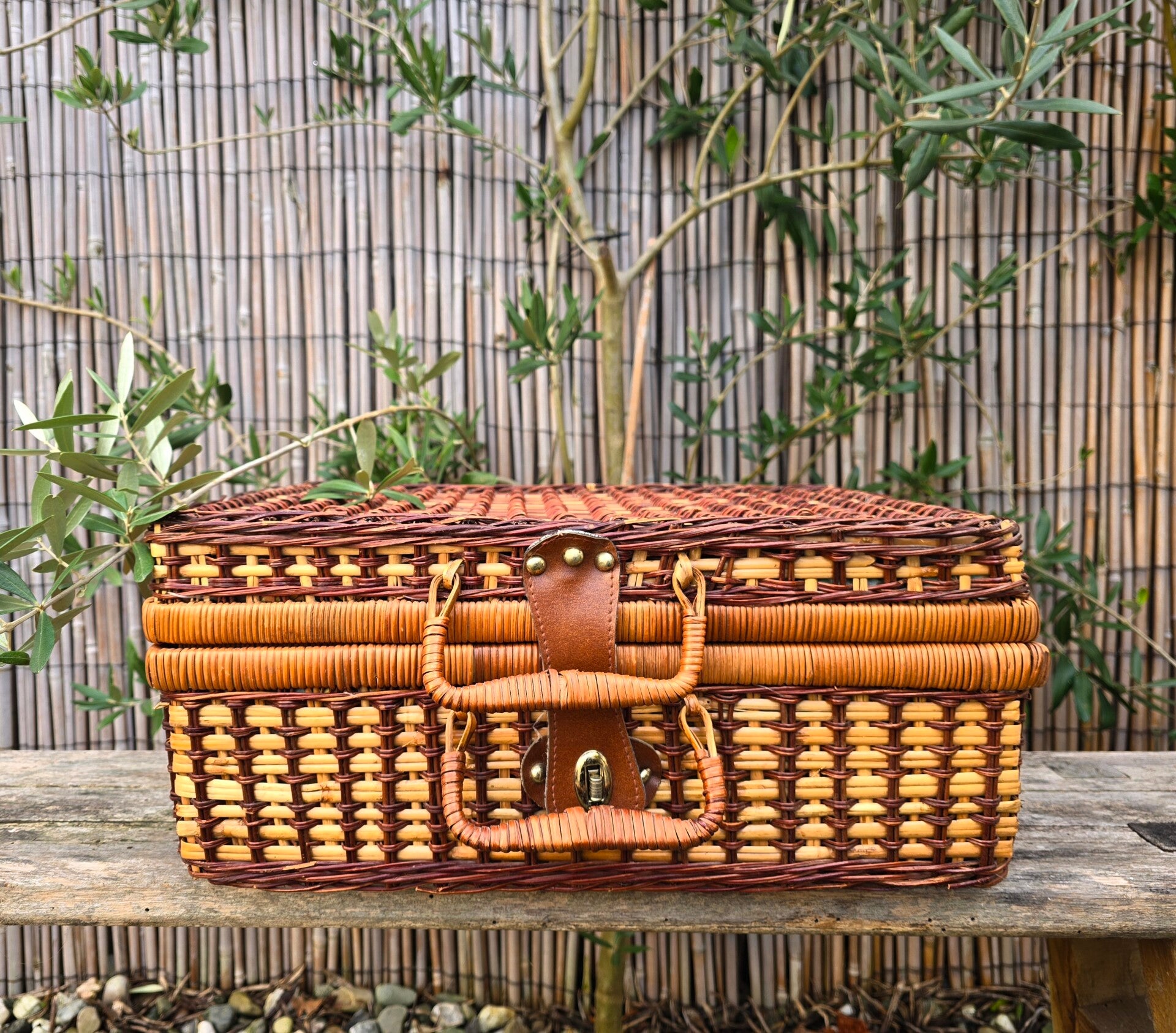 Rotan koffer 1