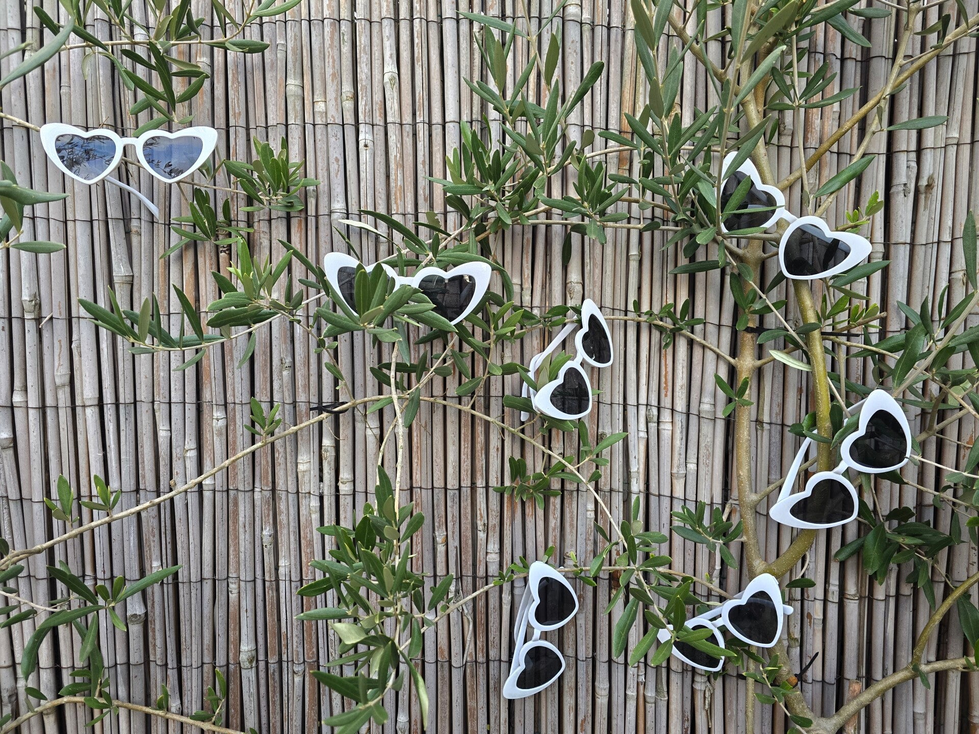 Sunglass