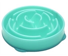 Slow-Bowl Feeder Drop Teal