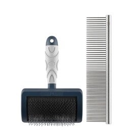 Mikki Doodle grooming