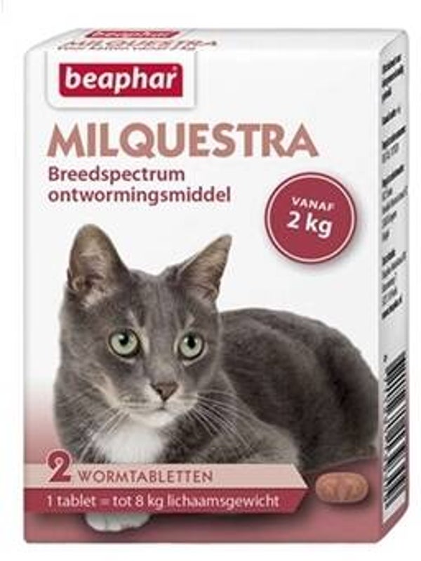 Beaphar Milquestra kat