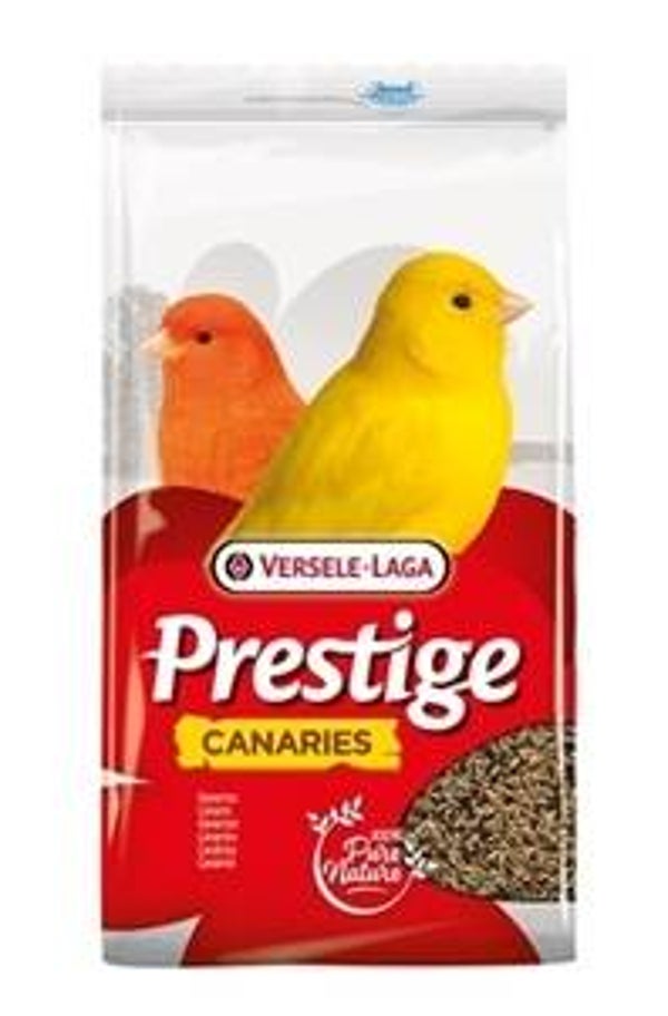 Prestige Kanaries zangzaad