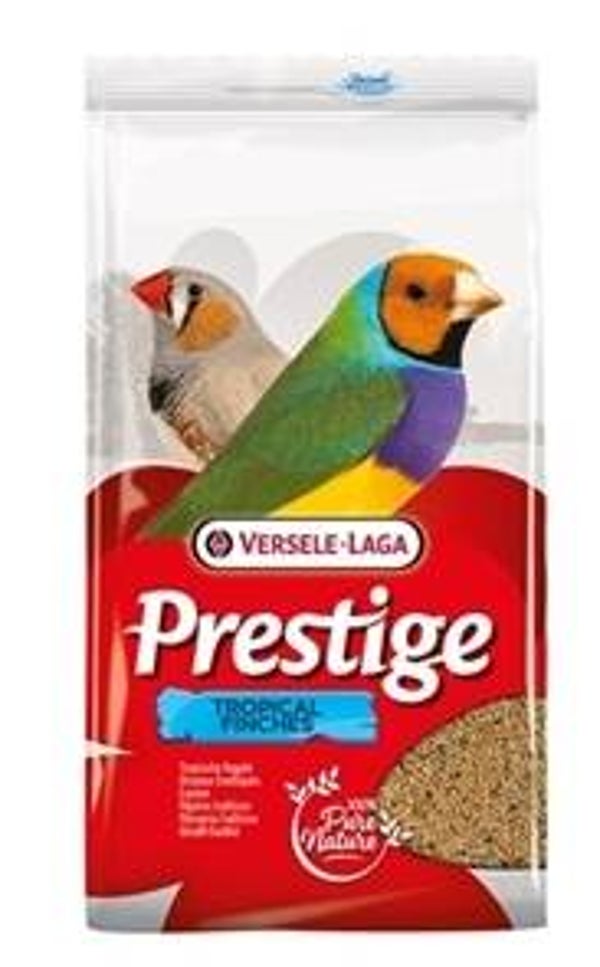 Prestige Tropische vogel