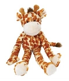 Happy pet swingin safari