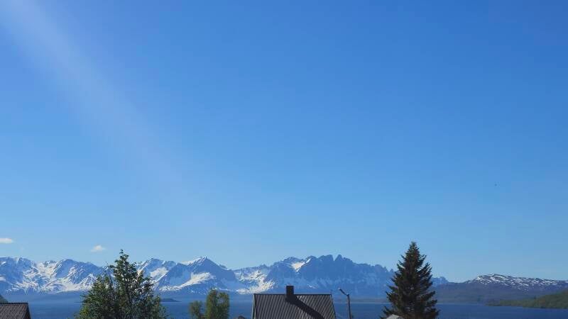 20260531_135447-standard.jpg