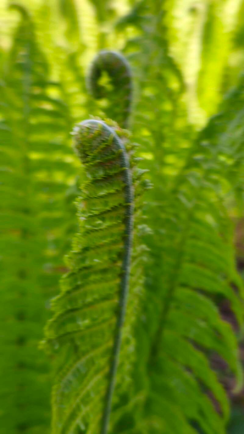 20260601_173542-standard.jpg