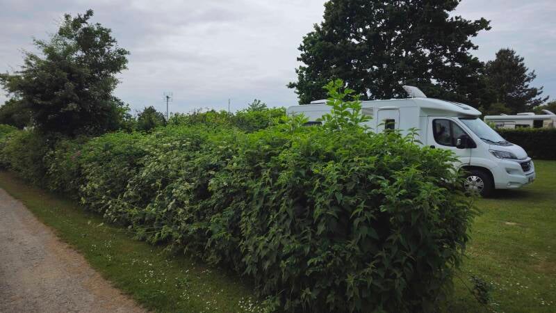 20260608_165343-standard.jpg