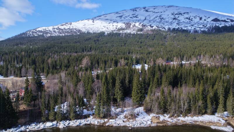 dji_fly_20260421_093308_0159_1776794798653_photo-standard.jpg