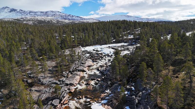 dji_fly_20260423_145358_0167_1776952367132_photo-standard.jpg