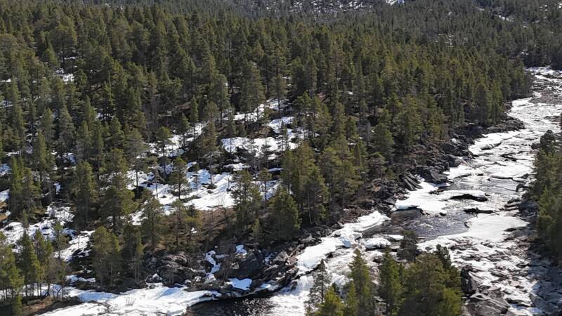 dji_fly_20260423_145426_0170_1776952366160_photo-standard.jpg