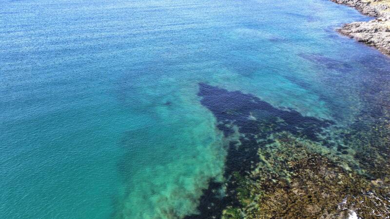 dji_fly_20260504_161638_0318_1777904494477_photo-standard.jpg