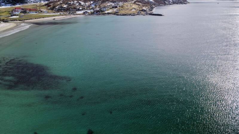 dji_fly_20260504_161724_0321_1777904493723_photo-standard.jpg