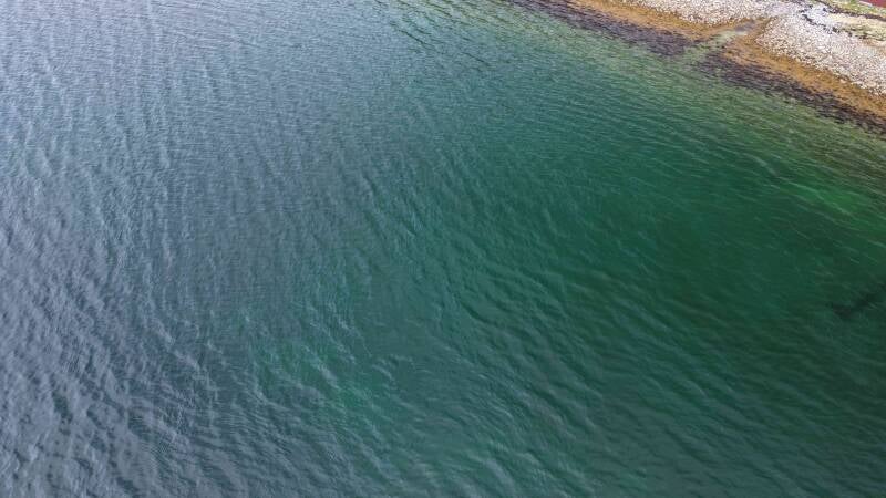 dji_fly_20260521_153416_0762_1779372606625_photo-standard.jpg